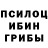 Псилоцибиновые грибы прущие грибы danchik stirha