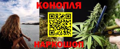 шишки Гусиноозёрск