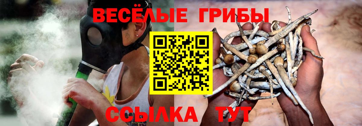 Псилоцибиновые грибы Cubensis  Псилоцибиновые грибы GOLDEN TEACHER  Рассказово  Вход с VPN 